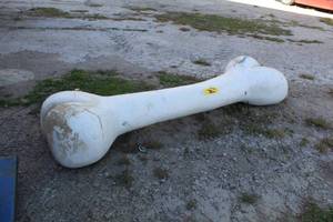lot 201 image: Bone Styrofoam