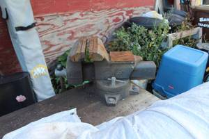 lot 203 image: Bench Vise 8