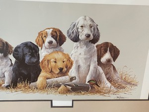 James Killen Framed Art Print