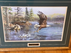 Catch of the Day Framed Print by Scott Zoellic