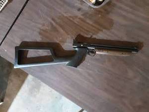 American Classic .177 Pellet Gun