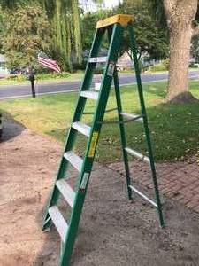 lot 39 image: 80 Inch Davidson Ladder