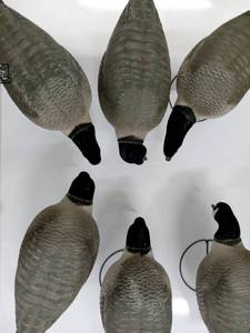 lot 244 image: 6 Greenhead Gear Realmotion Goose Decoys