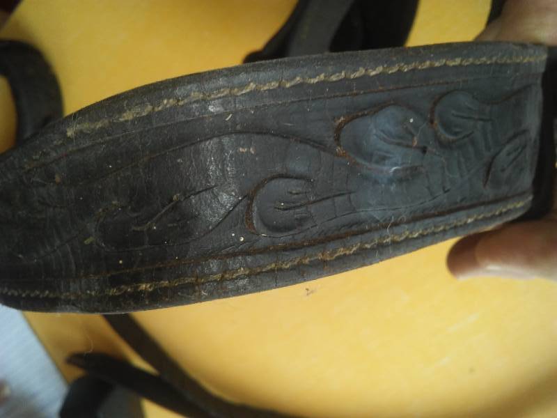 Equine Bridle, Bit,  6 ft. Split Reins.