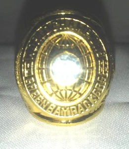 Green Bay Packers Super Bowl Ring.