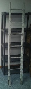 Primitive 7ft ladder