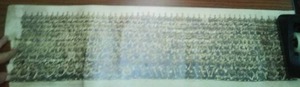 Panoramic Battalion Photograph WWI.