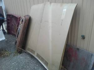 3 Hoods, 1 Door. Pontiac and Ford