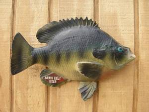 lot 82 image: Vintage Grain Belt Beer Chalkware Sunfish