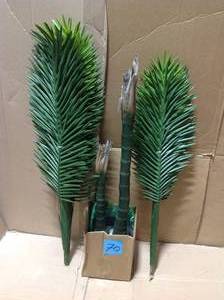 lot 70 image: 5.5 ft. Double Robellini Palm Tree UV Resistant (IndoorOutdoor) &nbspin good condition 