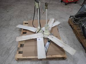 2 ceiling fans