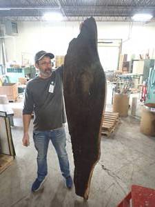 wood slab