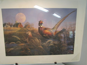 Limited Edition Signed Print