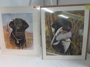 Black Lab Signed Prints