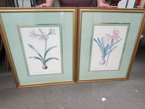 Framed Prints