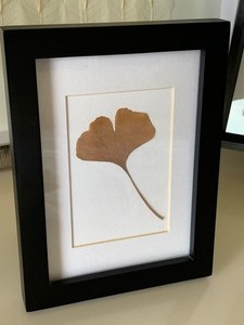 lot 37 image: Lot of Framed Leaf Art