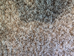 lot 102 image: SAFAVIEH California Shag Area Rug