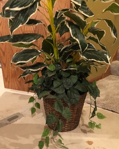 lot 273 image: Faux Plant
