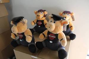 lot 59 image: Lot of (4) Harley-Davidson Pig Plush Toys