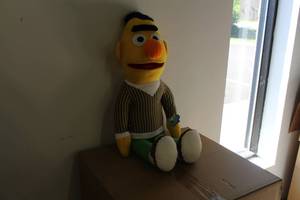 lot 28 image: Sesame Street Bert Plush Toy 30