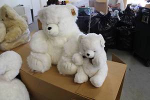 lot 84 image: Lot of (2) Bears Plush Toys
