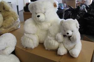 lot 86 image: Lot of (2) Bears Plush Toys
