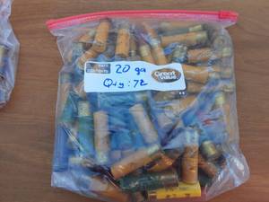 lot 5 image: Bag Of 72 20 Ga. 2 34 & 3 Shells
