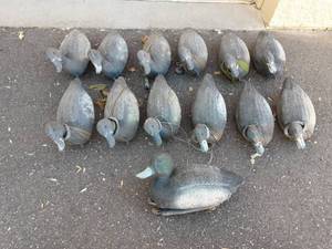 lot 32 image: 13 Blue Bill Duck Decoys (Made In Italy)