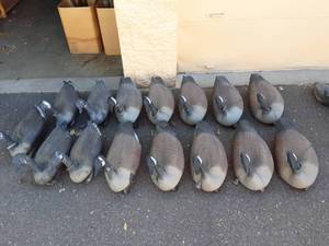 lot 33 image: 10 Flambeau Goose Can Decoys, 5-Others
