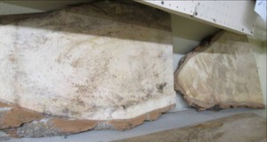lot 35 image: (2) Wood Pieces 23 X 16, 24 X 20...