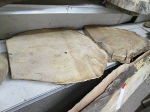 lot 39 image: (2) Wood Slabs 28X23X2, 31X17X...