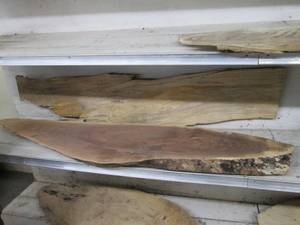 lot 42 image: (2) Wood Slabs 55X12X1.75, 48.5...