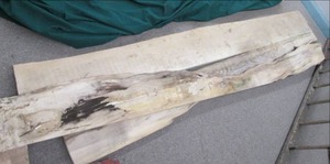 lot 45 image: (3) Wood Slabs 127X8, 123X8, 12...