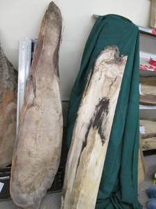 lot 48 image: (2) Wood Slabs 53X10, 66X12X2...