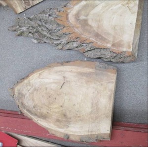 lot 49 image: (2) Wood Slabs 50X17X4.5, 36X23...