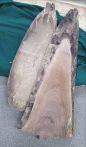 lot 51 image: (2) Wood Pieces 51X15.5X1, 57X1...