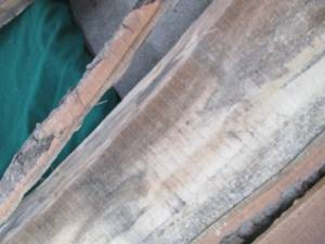 lot 53 image: (2) Wood Pieces 71X11, 58X10X1....