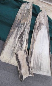 lot 54 image: (3) Wood Slabs 46X13X1.5, 48X13...