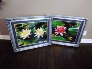 lot 22 image: Pair of Water Lily Prints in Gorgeous Silver Frames