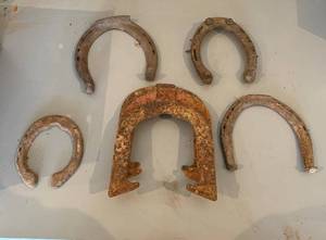 lot 9 image: 7 Horse Shoe Variety