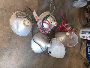 lot 37 image: 8 Heat Lamps
