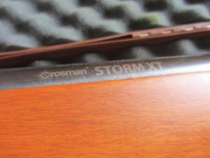 lot 58 image: Crosman Stormx Pellet Gun