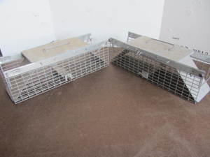 lot 76 image: Havahart Live Traps