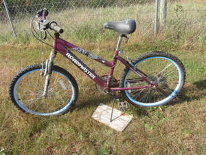 lot 259 image: Roadmaster Ladies Bicycle