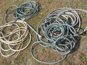 lot 272 image: Garden Hose & Sprinkler