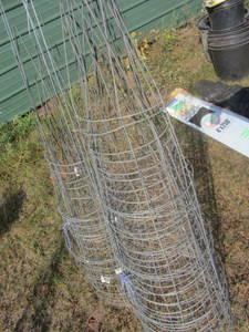 lot 243 image: Tomato Cages