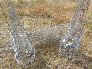lot 244 image: Tomato Cages