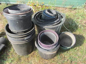 lot 246 image: Nursery Pots