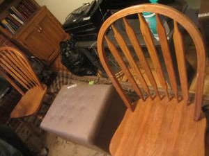 Two bentwood chairs, storage ottoma...