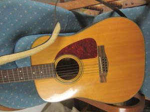 Fender 12 string acoustical guitar,...